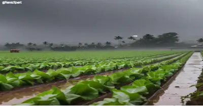 भारत में Monsoon का महत्व