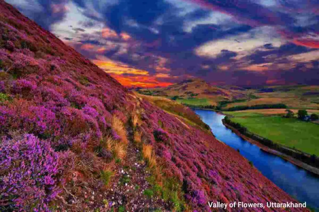 Valley of Flowers, Uttarakhand