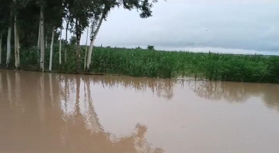 Excessive rain : पहाड़ो में हो रही अधिक बारिश से Ganga का बढ़ा जलस्तर