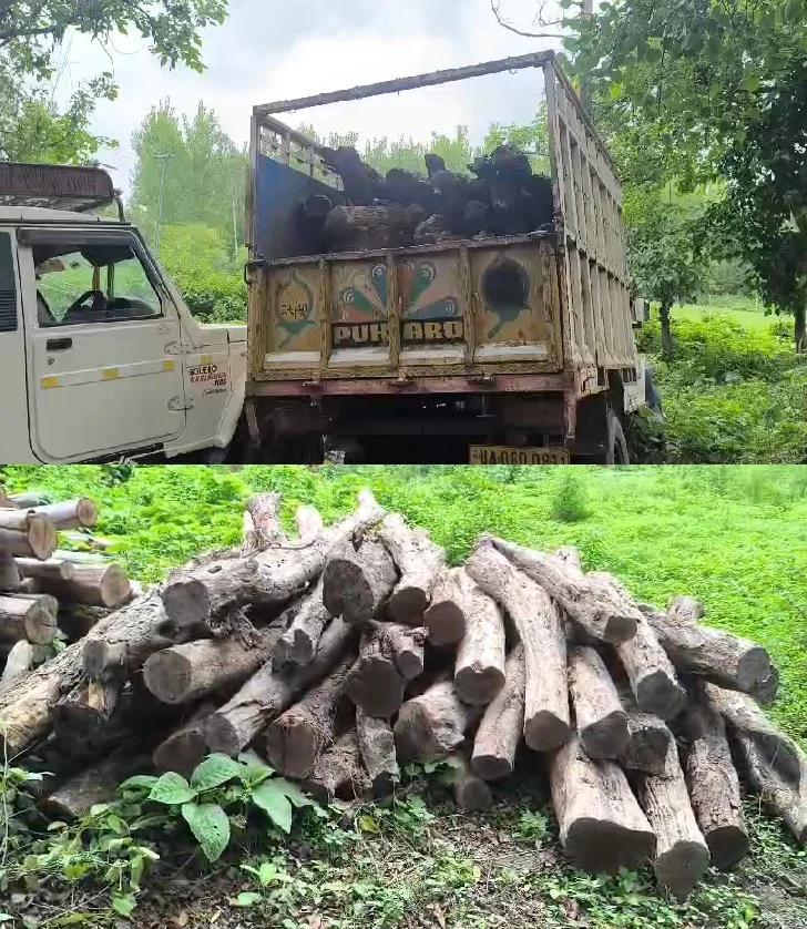 Forest Department in Action : रेंजर ने अपनी जान पर खेलकर बेशकीमती खैर की तस्करी पर लगाया ब्रेक